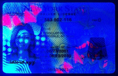 New York (NY) Fake ID